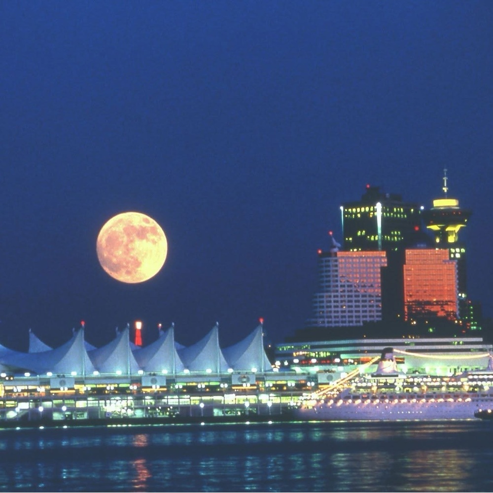 🌸 Moonlit Skyline Canvas Art
🌸 Not For Sale